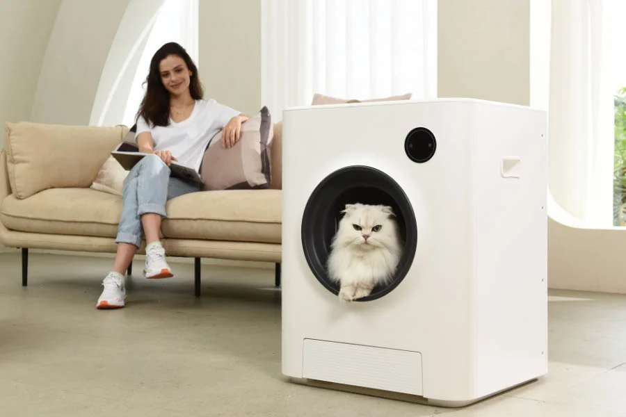 litter box that doesn't smell